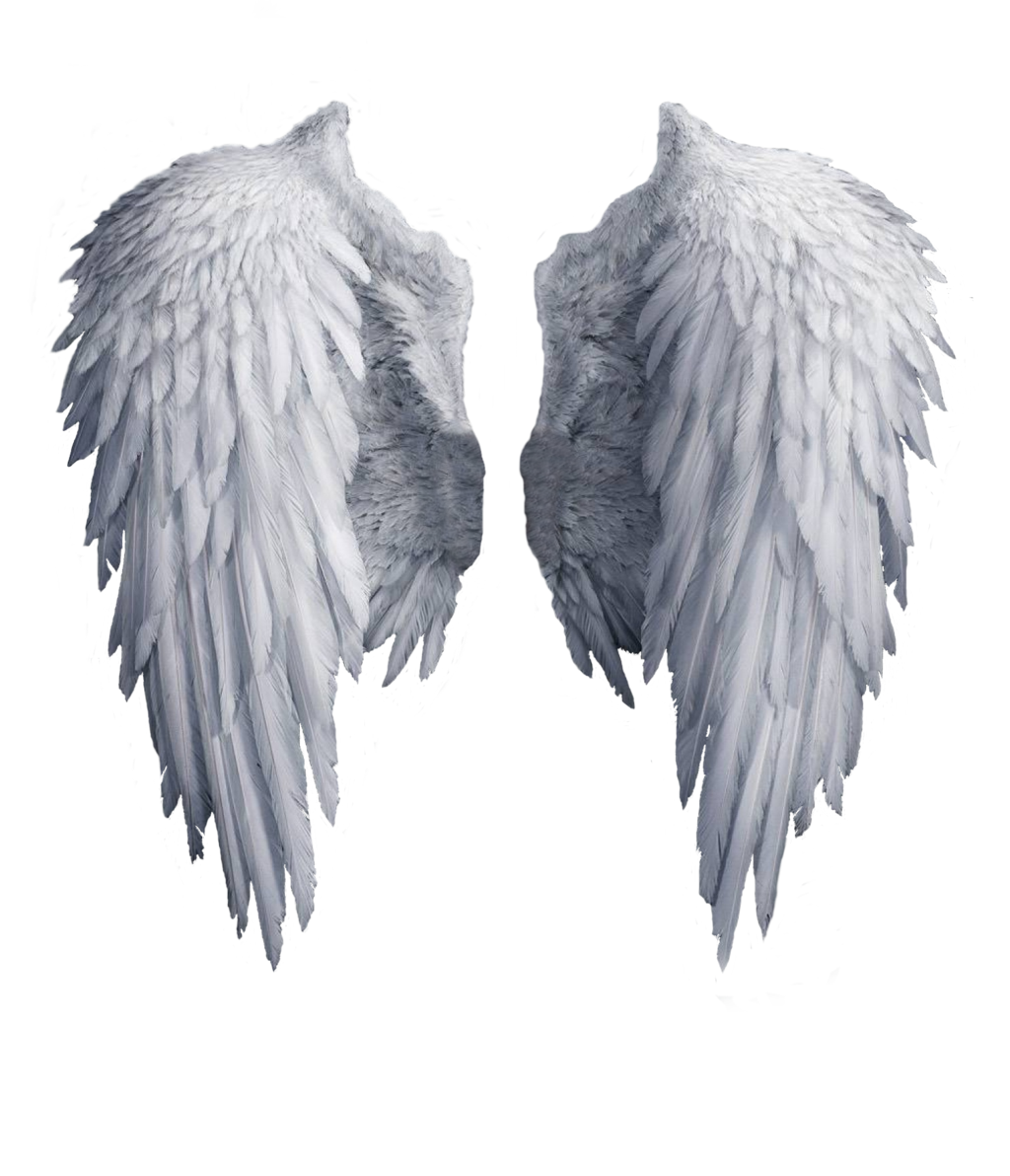 wing portfolio template preview